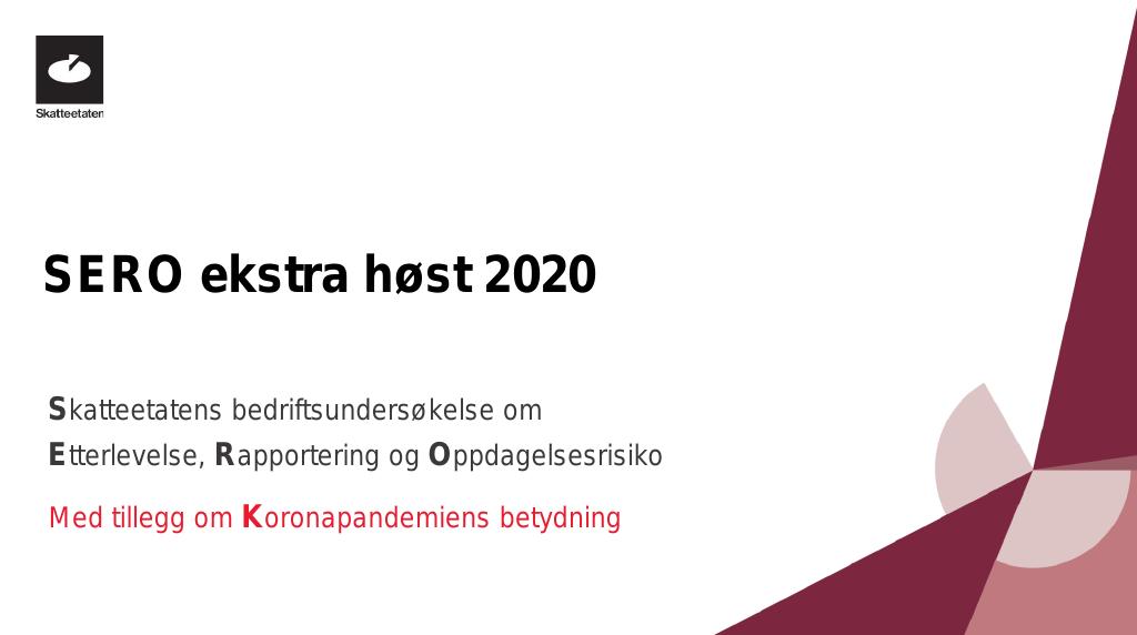 Forsiden av dokumentet SERO ekstra høst 2020 - Skatteetatens bedriftsundersøkelse om Etterlevelse, Rapportering og Oppdagelsesrisiko