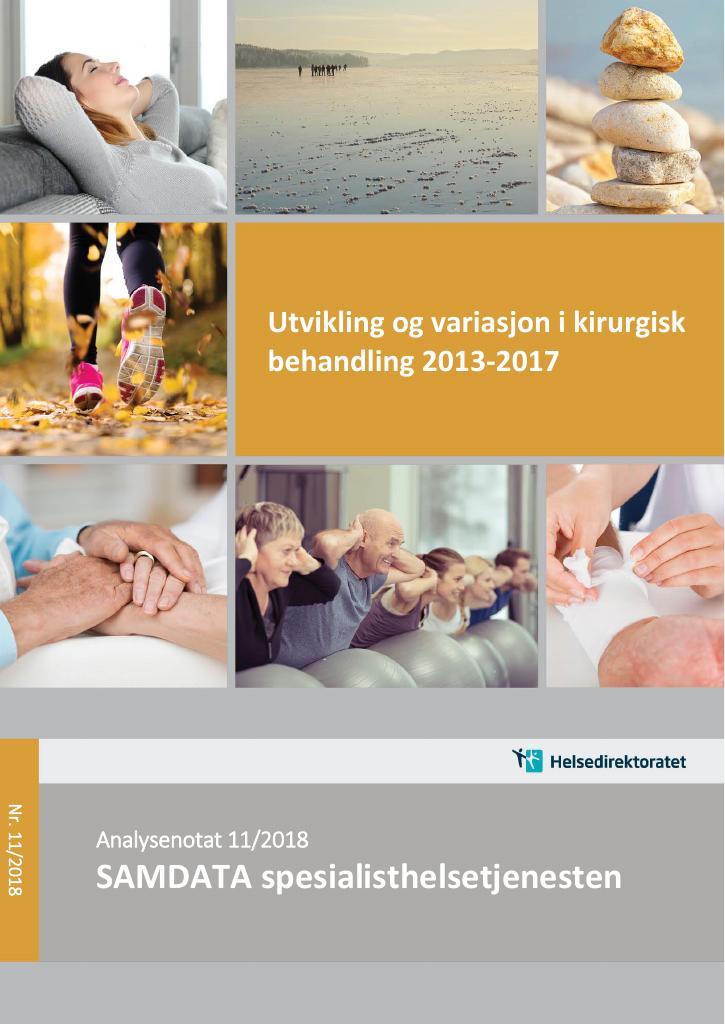 Forsiden av dokumentet Utvikling og variasjon i kirurgisk behandling 2013-2017