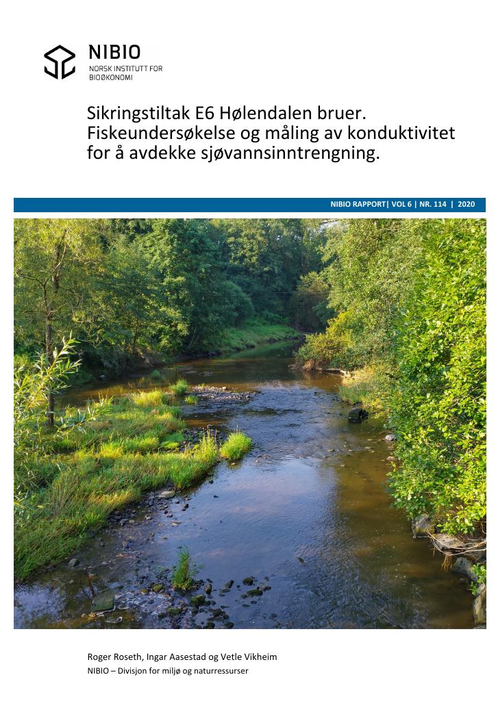 Forsiden av dokumentet Sikringstiltak E6 Hølendalen bruer : fiskeundersøkelse og måling av konduktivitet for å avdekke sjøvannsinntrengning