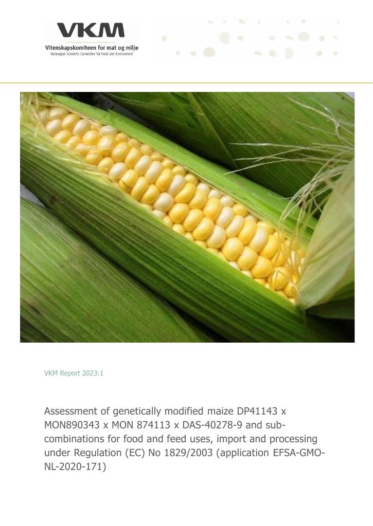 Forsiden av dokumentet Assessment of genetically modified maize DP41143 x MON890343 x MON 874113 x DAS40278-9 and sub-combinations for food and feed uses, import and processing under Regulation (EC) No 1829/2003 (application EFSA GMO-NL-2020-171)