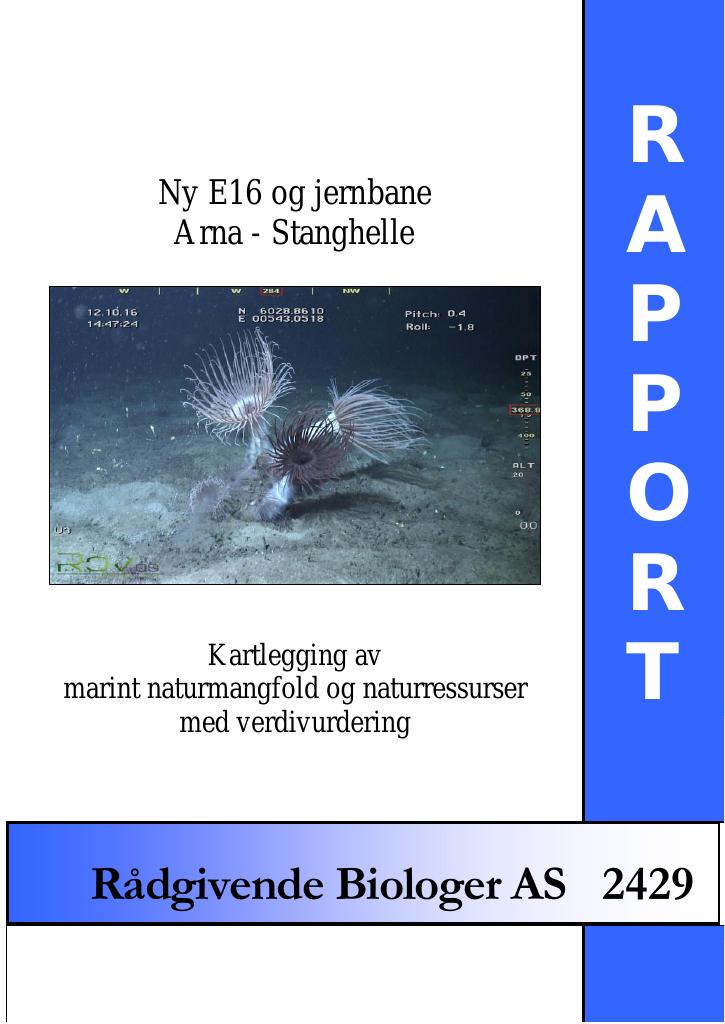 Forsiden av dokumentet Ny E16 og jernbane : Arna - Stanghelle : kartlegging av marint naturmangfold og naturressurser med verdivurdering