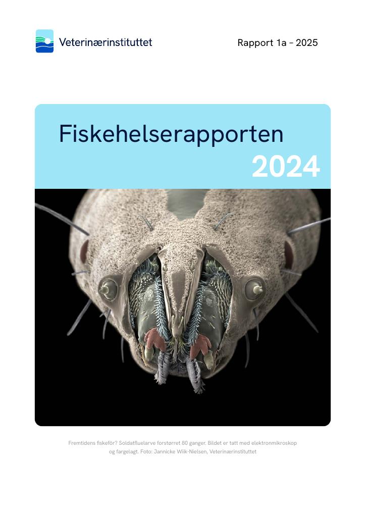 Forsiden av dokumentet Fiskehelserapporten 2024
