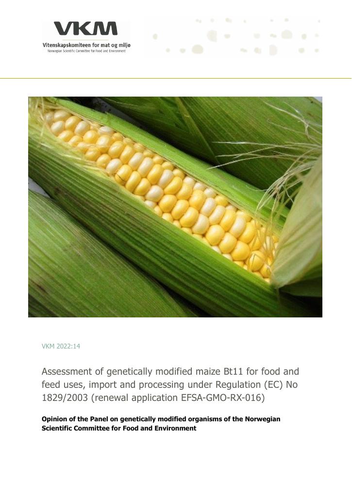 Forsiden av dokumentet Assessment of genetically modified maize Bt11 for food and feed uses, import and processing under Regulation (EC) No 1829/2003 (renewal application EFSA-GMO-RX-016