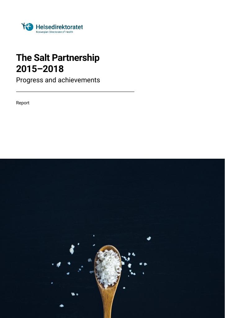 Forsiden av dokumentet The Salt Partnership 2015–2018