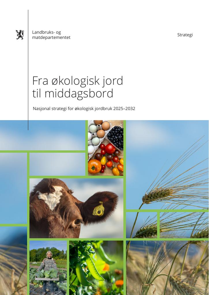 Forsiden av dokumentet Fra økologisk jord til middagsbord