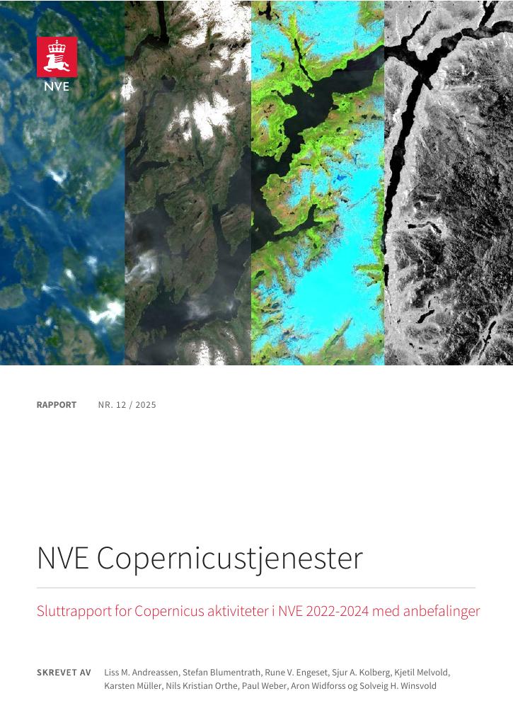 Forsiden av dokumentet NVE Copernicustjenester
