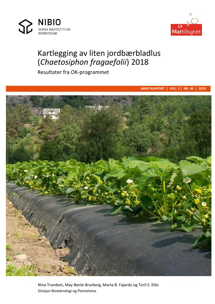 Forsiden av dokumentet Kartlegging av liten jordbærbladlus (Chaetosiphon fragaefolii) 2018