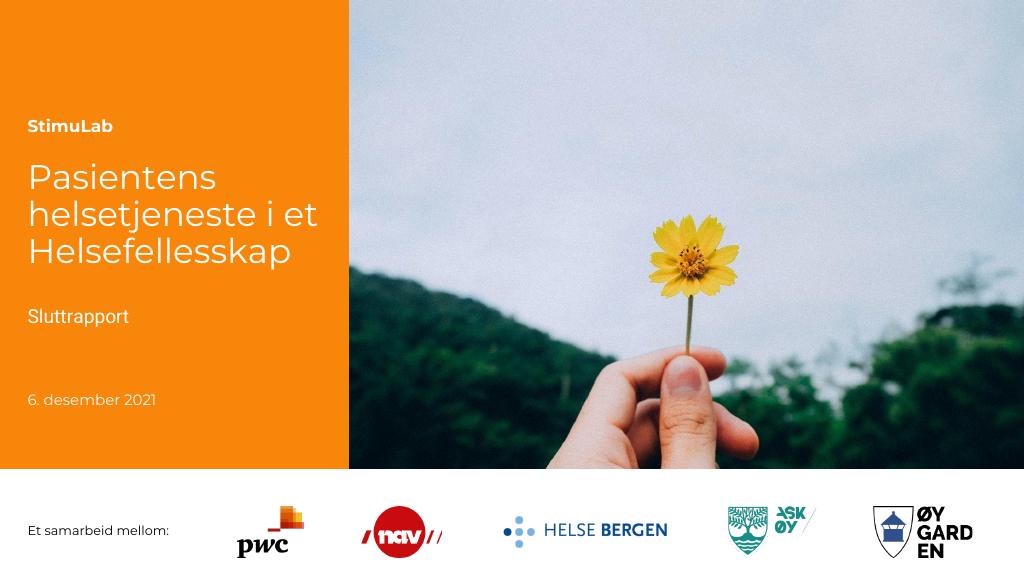 Forsiden av dokumentet Stimulab: Pasientens helsetjeneste i et Helsefellesskap
