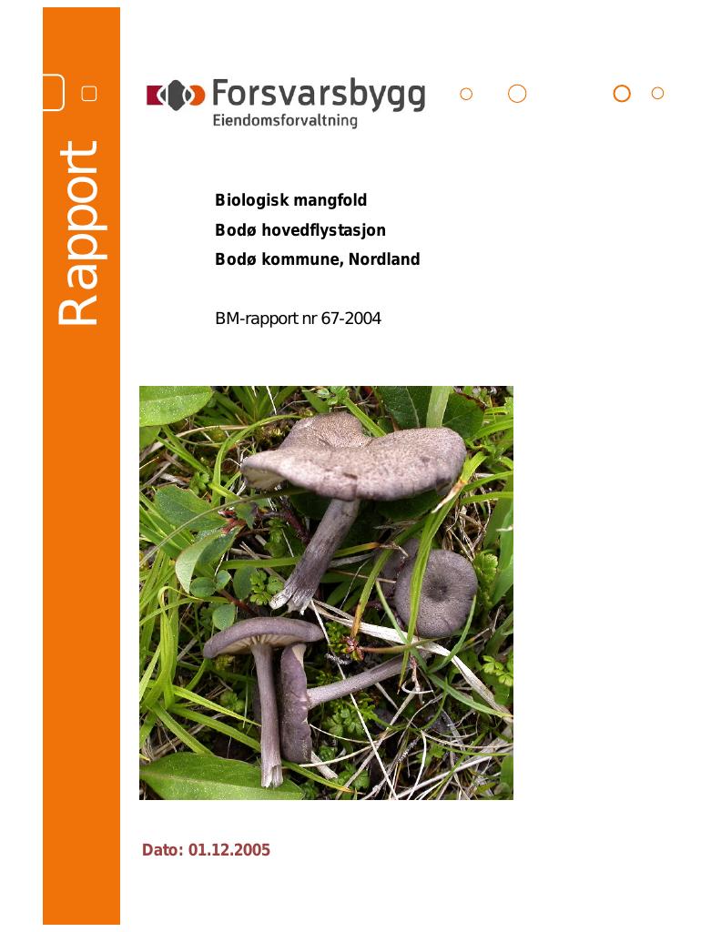 Forsiden av dokumentet Biologisk mangfold Bodø hovedflystasjon Bodø kommune, Nordland