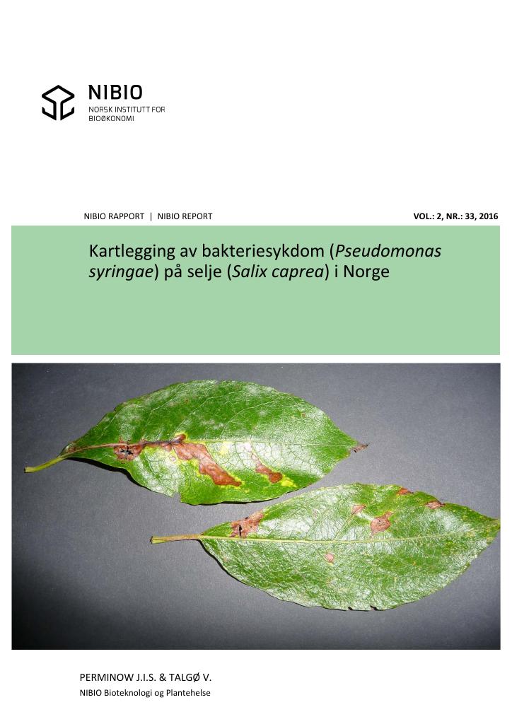 Forsiden av dokumentet Kartlegging av bakteriesykdom (Pseudomonas syringae) på selje (Salix caprea) i Norge