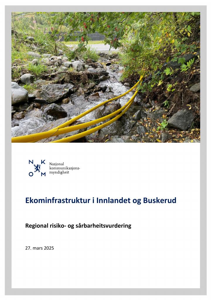 Forsiden av dokumentet Ekominfrastruktur i Innlandet og Buskerud