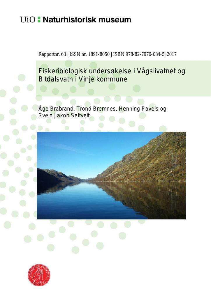 Forsiden av dokumentet Fiskeribiologisk undersøkelse i Vågslivatnet og Bitdalsvatn i Vinje kommune