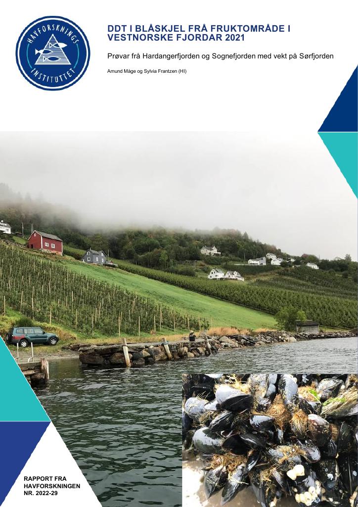 Forsiden av dokumentet DDT i blåskjel frå fruktområde i vestnorske fjordar 2021