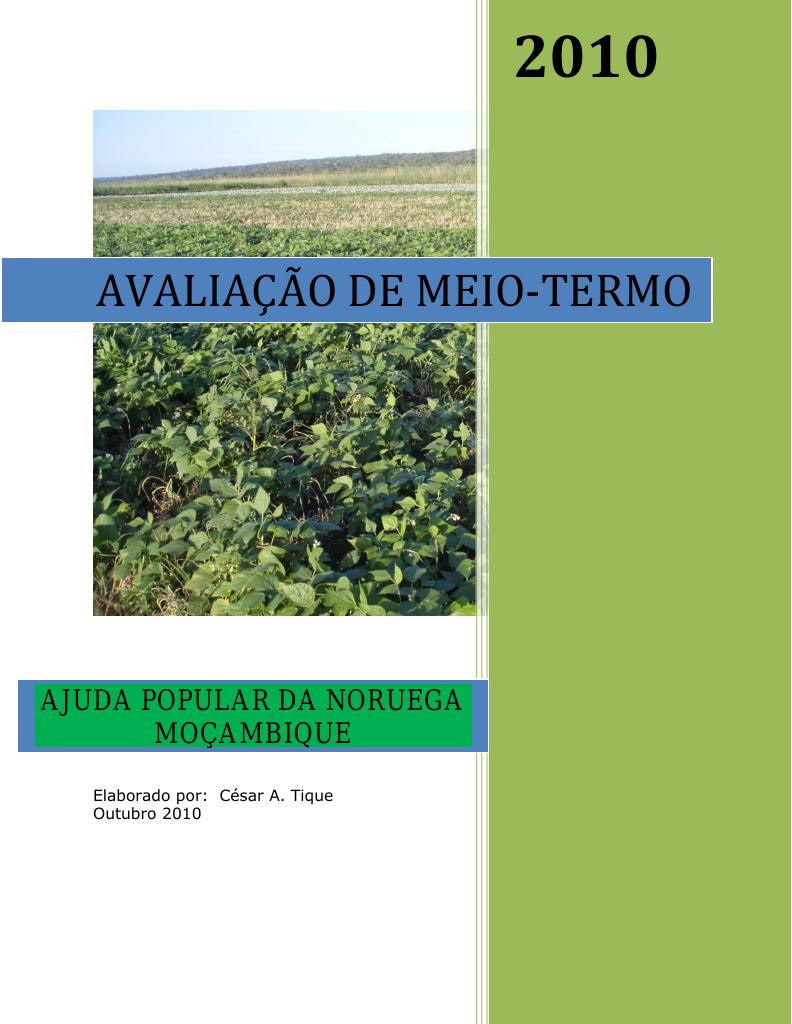 Forsiden av dokumentet Mid-Term Evaluation Report Mozambique