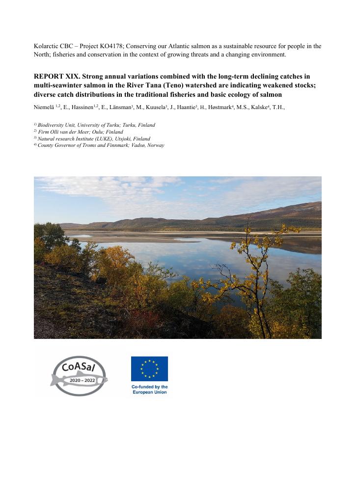 Forsiden av dokumentet Report XIX Strong annual variations combined with the long-term declining catches in multi seawinter S