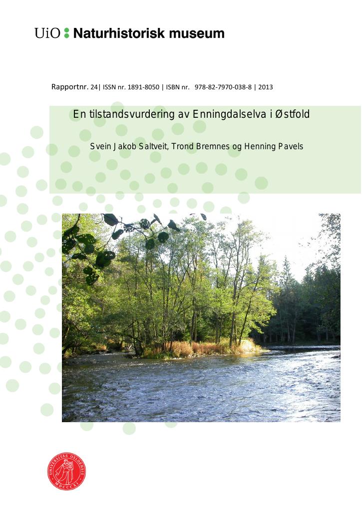 Forsiden av dokumentet En tilstandsvurdering av Enningdalselva i Østfold