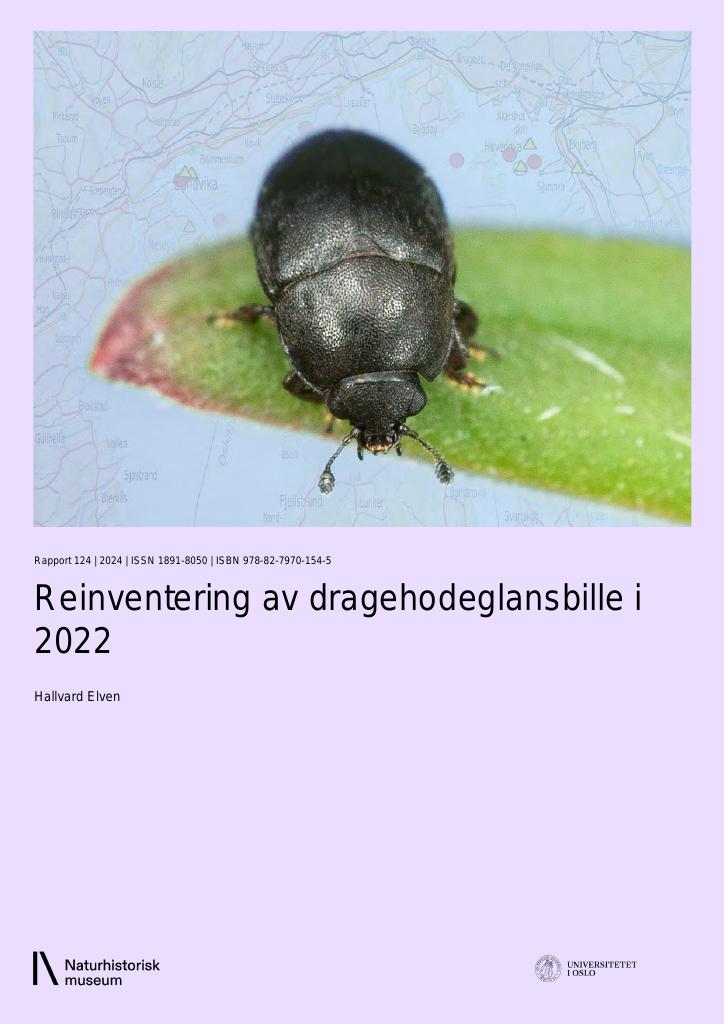 Forsiden av dokumentet Reinventering av dragehodeglansbille i 2022