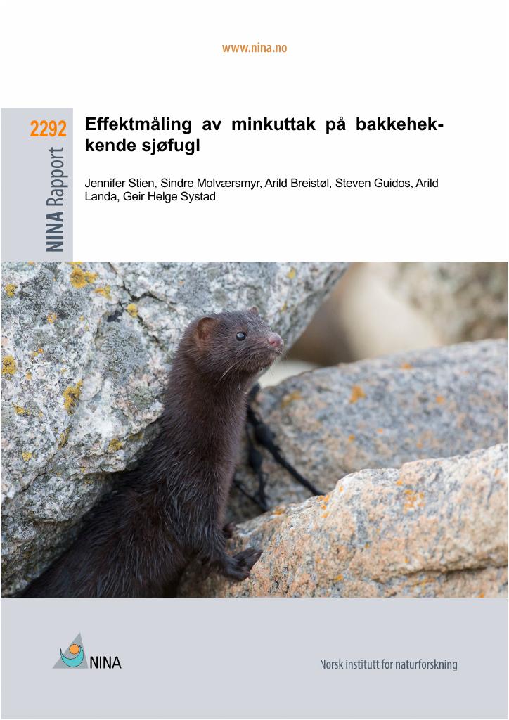 Forsiden av dokumentet Effektmåling av minkuttak på bakkehekkende sjøfugl M-2576