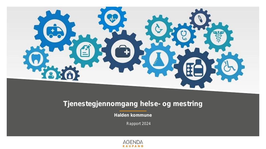 Forsiden av dokumentet Tjenestegjennomgang helse- og mestring