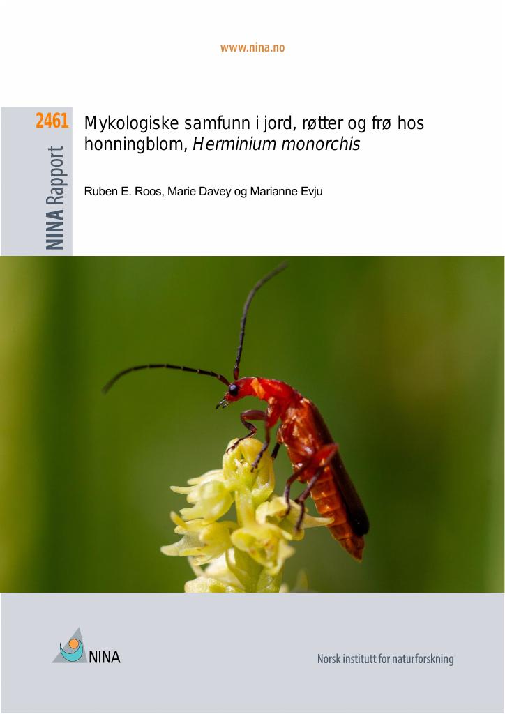 Forsiden av dokumentet Mykologiske samfunn i jord, røtter og frø hos honningblom, Herminium monorchis