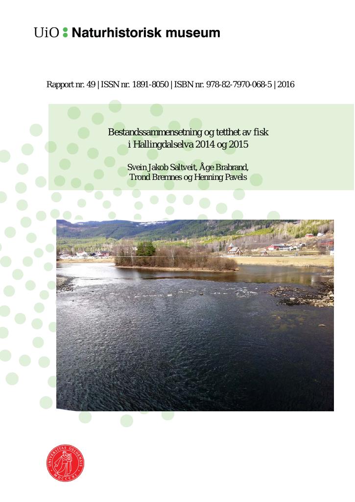 Forsiden av dokumentet Bestandssammensetning og tetthet av fisk i Hallingdalselva 2014 og 2015