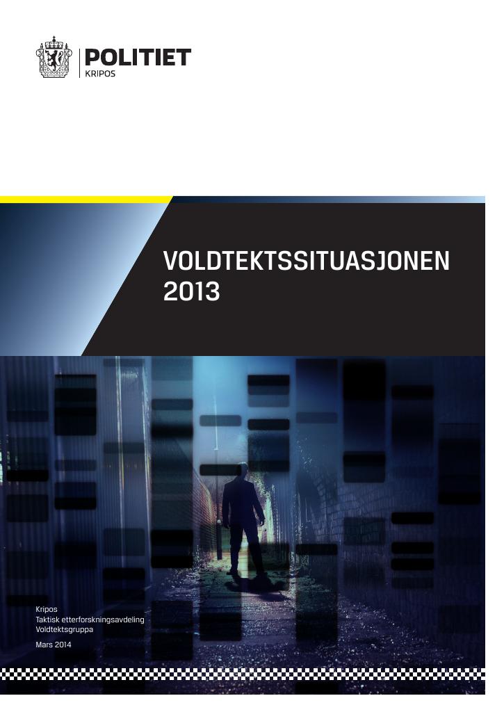 Forsiden av dokumentet Voldtektssituasjonen i Norge 2013