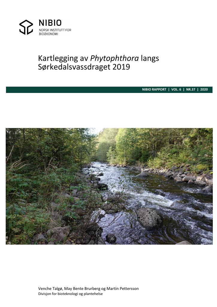 Forsiden av dokumentet Kartlegging av Phytophthora langs Sørkedalsvassdraget 2019