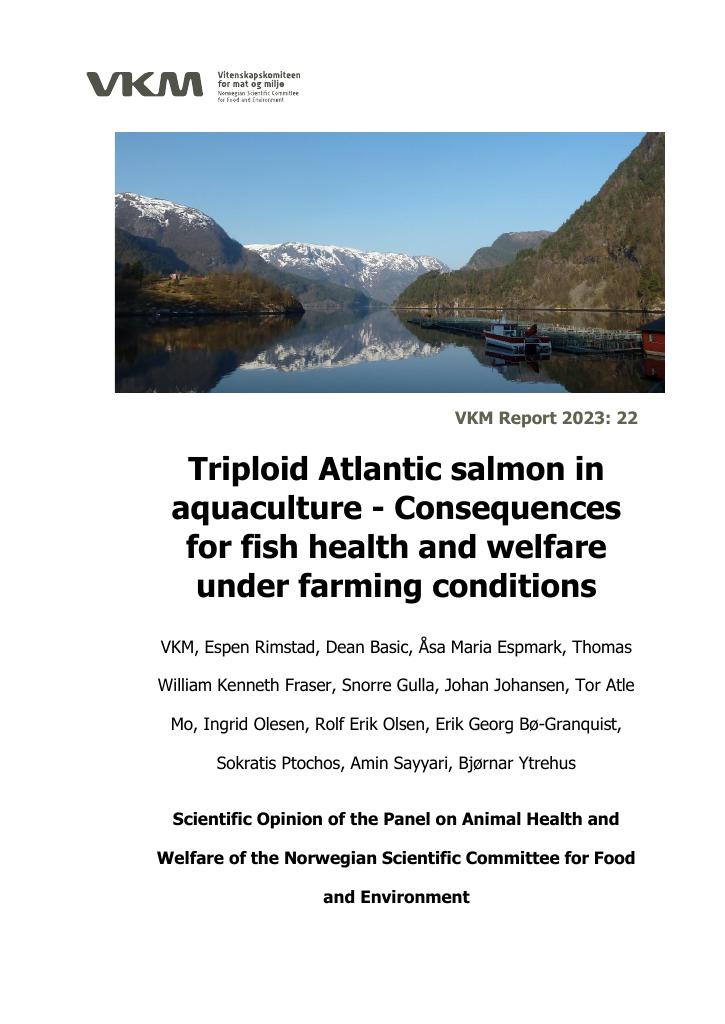 Forsiden av dokumentet Triploid Atlantic salmon in aquaculture - Consequences for fish health and welfare under farming conditions