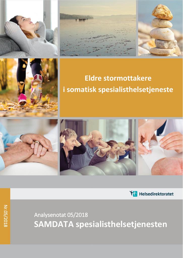 Forsiden av dokumentet Eldre stormottakere i somatisk spesialisthelsetjeneste