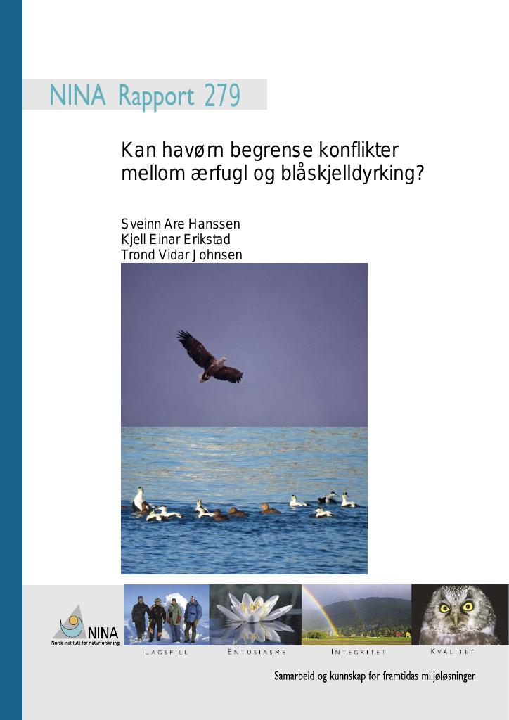 Forsiden av dokumentet Kan havørn begrense konflikter mellom ærfugl og blåskjelldyrking?