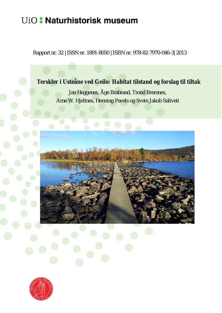 Forsiden av dokumentet Terskler i Usteåne ved Geilo: Habitat tilstand og forslag til tiltak
