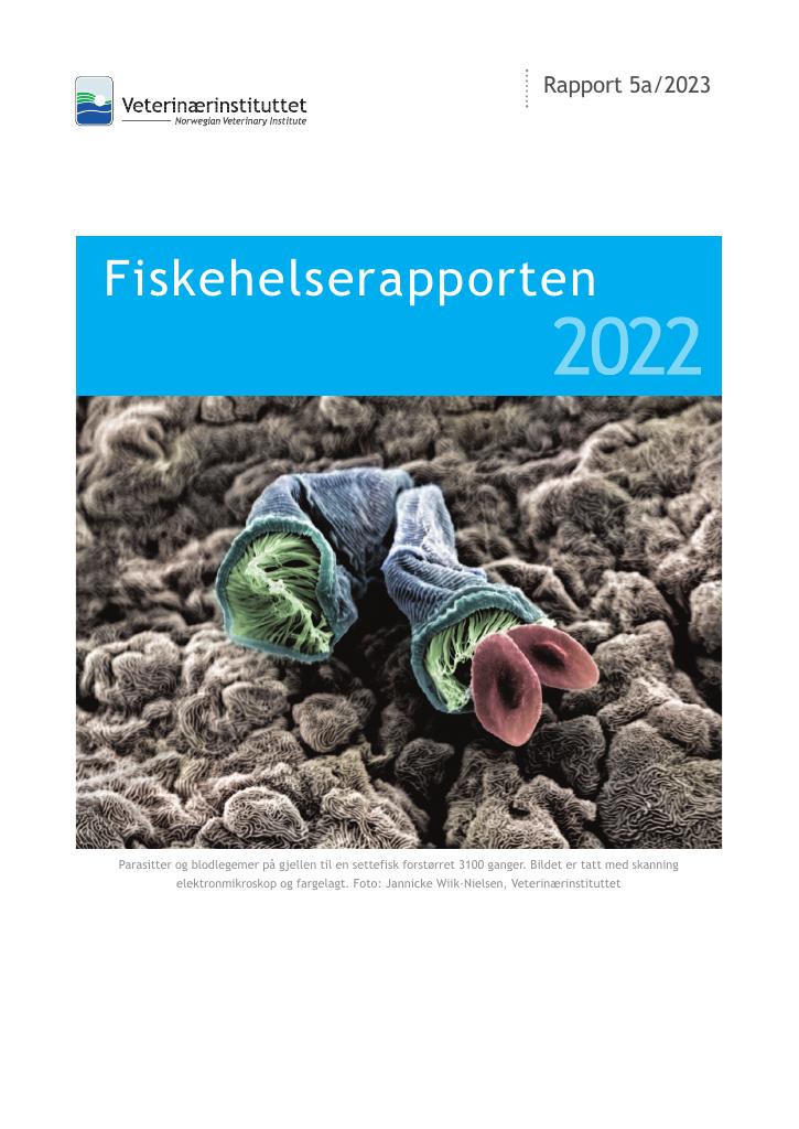 Forsiden av dokumentet Fiskehelserapporten 2022