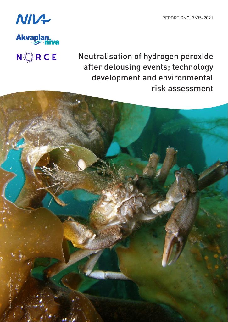 Forsiden av dokumentet Neutralisation of hydrogen peroxide after delousing events; technology  development and environmental risk assessment