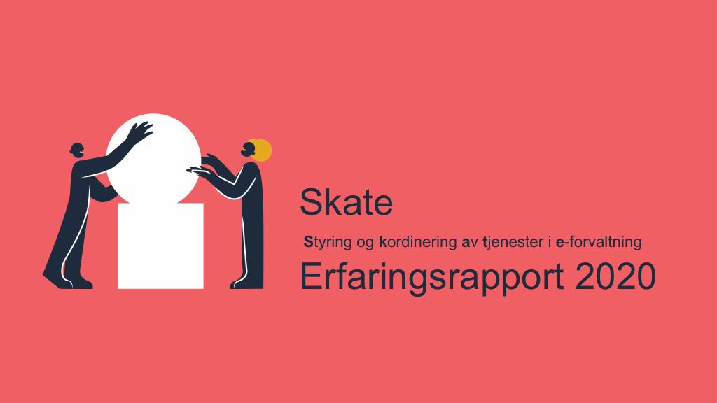 Forsiden av dokumentet Skate - Erfaringsrapport 2020