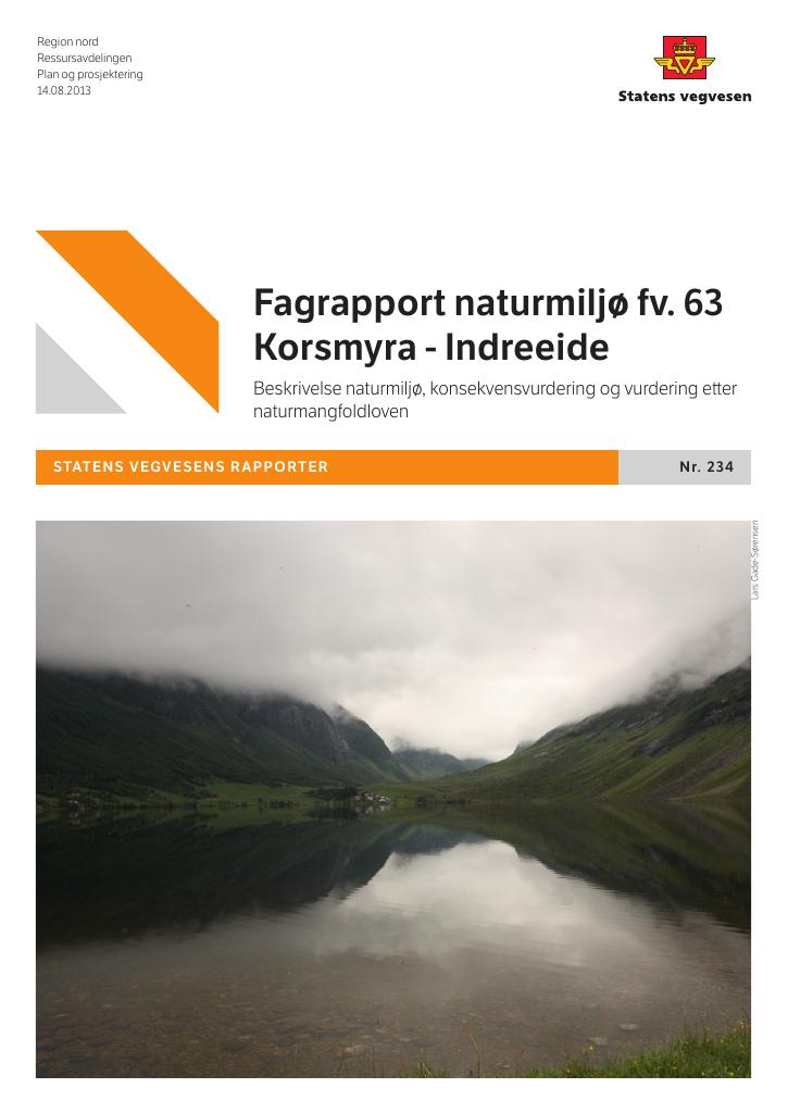 Forsiden av dokumentet Fagrapport naturmiljø fv. 63 Korsmyra - Indreeide