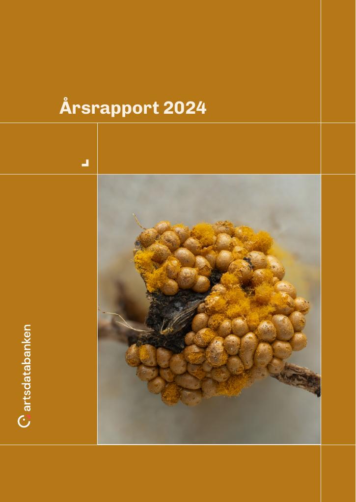 Forsiden av dokumentet Årsrapport Artsdatabanken 2024
