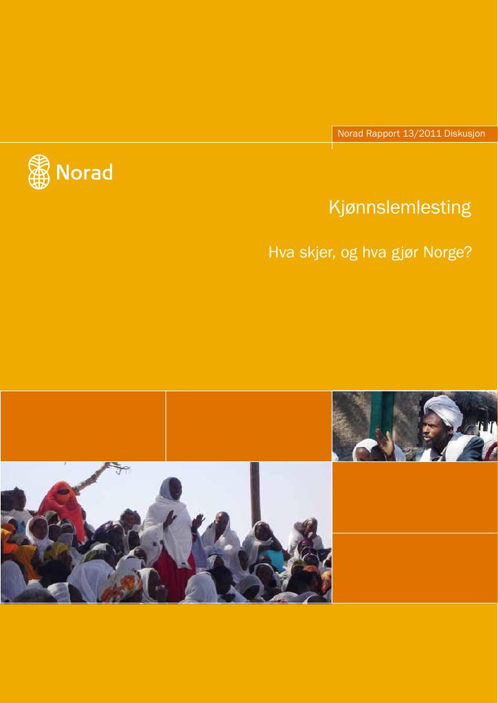 Forsiden av dokumentet Kjønnslemlesting - Hva skjer, og hva gjør Norge?