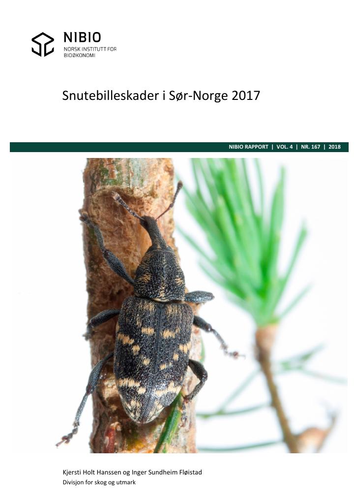 Forsiden av dokumentet Snutebilleskader i Sør-Norge 2017
