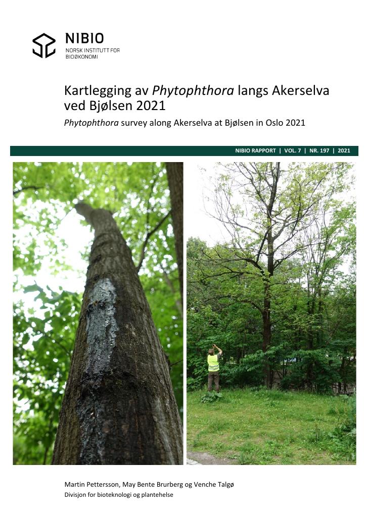 Forsiden av dokumentet Kartlegging av Phytophthora langs Akerselva ved Bjølsen 2021 : Phytophthora survey along Akerselva at Bjølsen in Oslo 2021