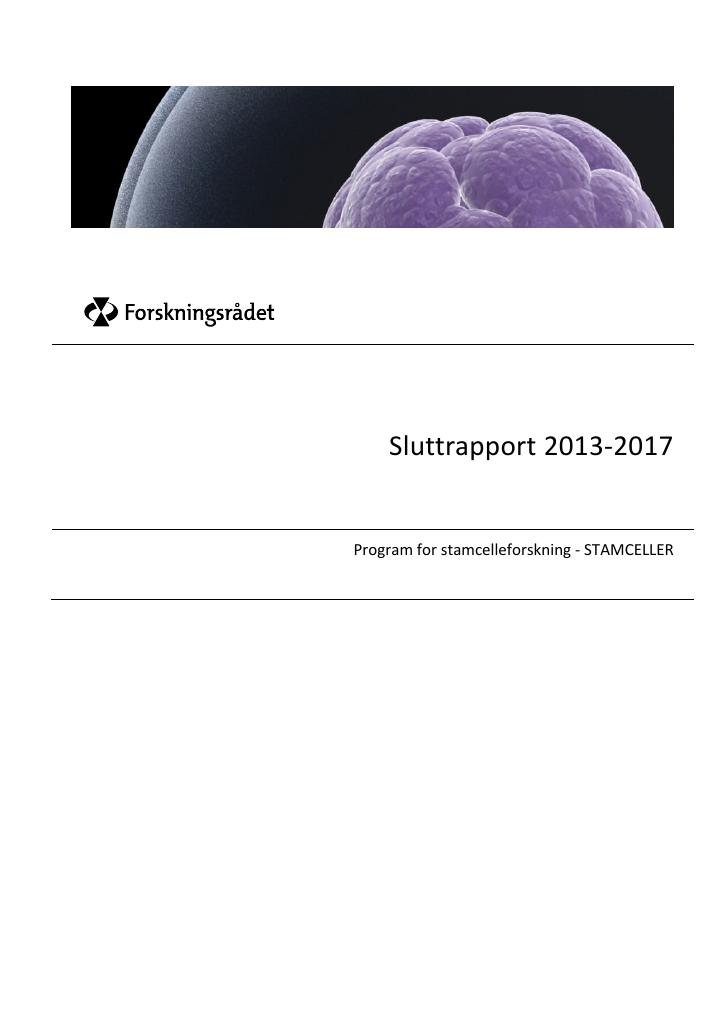 Forsiden av dokumentet Sluttrapport 2013-2017