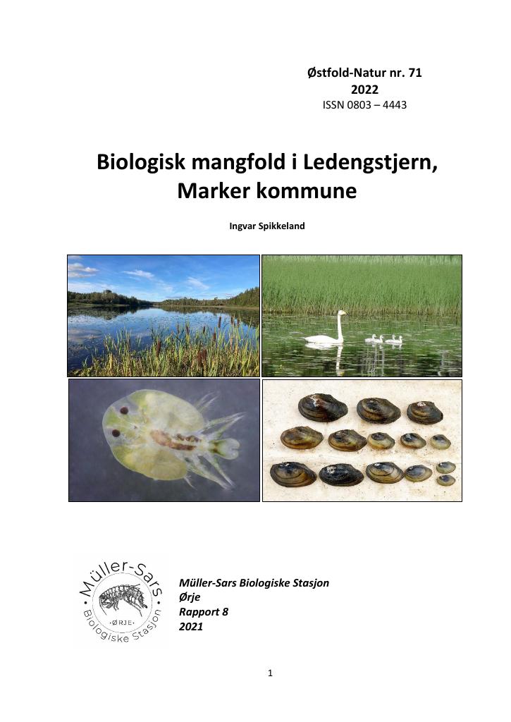 Forsiden av dokumentet Biologisk mangfold i Ledengstjern, Marker kommune