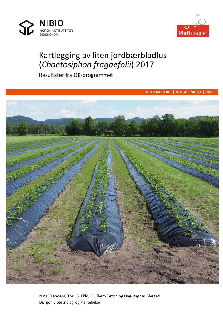 Forsiden av dokumentet Kartlegging av liten jordbærbladlus (Chaetosiphon fragaefolii) 2017