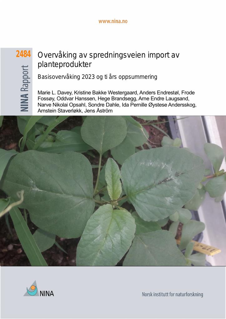 Forsiden av dokumentet Overvåking av spredningsveien import av planteprodukter - 
Basisovervåking 2023 og ti års oppsummering