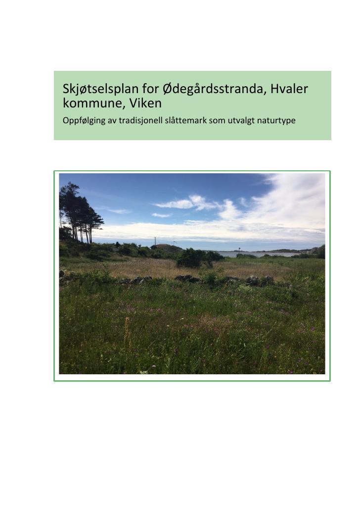 Forsiden av dokumentet Skjøtselsplan for Ødegårdsstranda, Hvaler kommune, Viken : Oppfølging av tradisjonell slåttemark som utvalgt naturtype