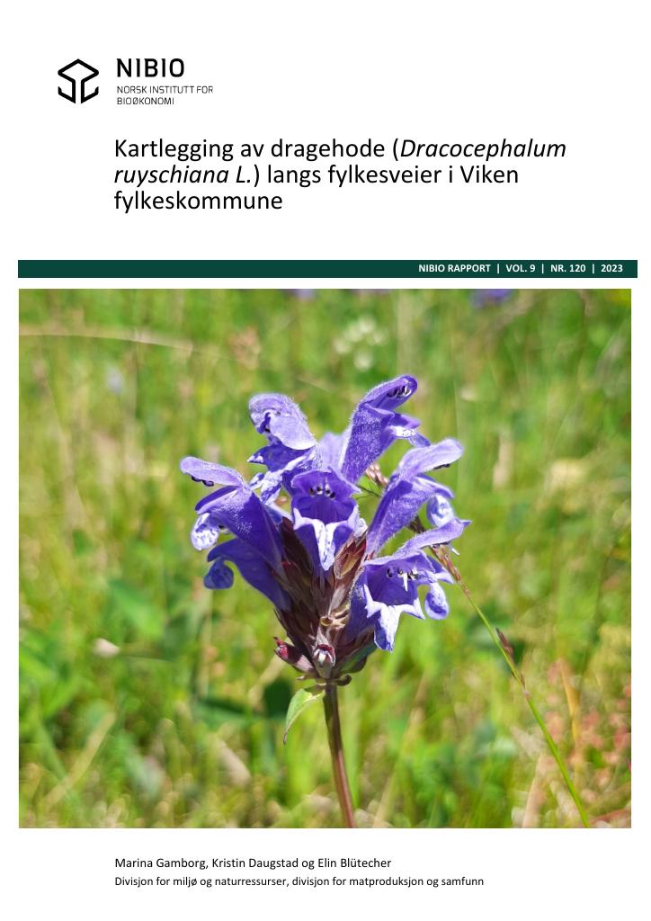 Forsiden av dokumentet Kartlegging av dragehode (Dracocephalum ruyschiana L.) langs fylkesveier i Viken fylkeskommune