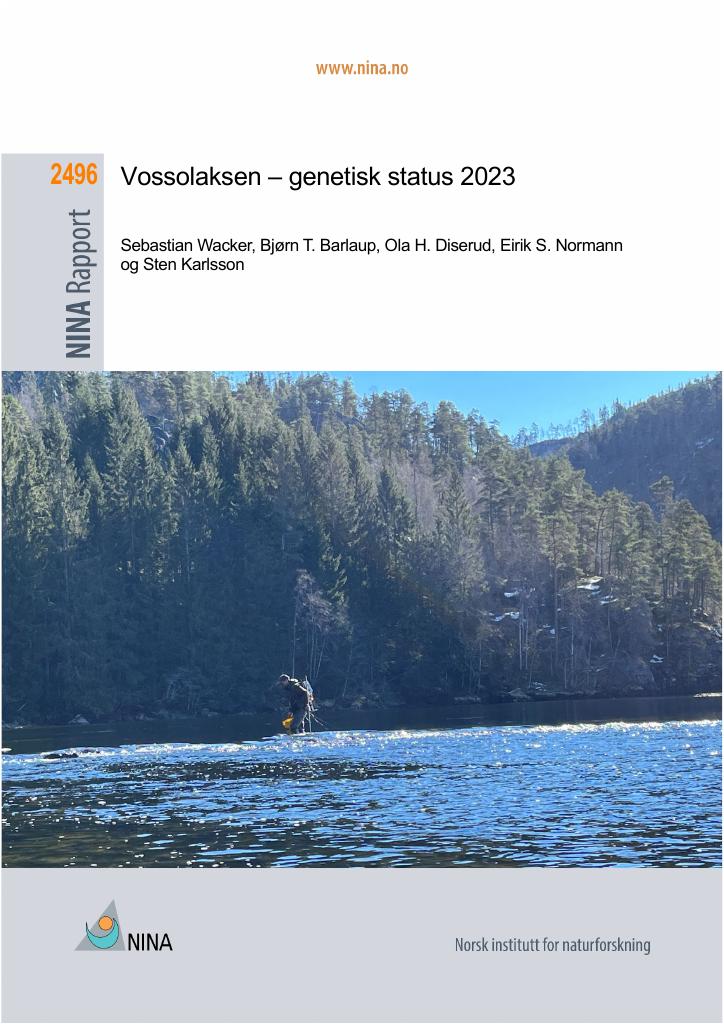 Forsiden av dokumentet Vossolaksen – genetisk status 2023