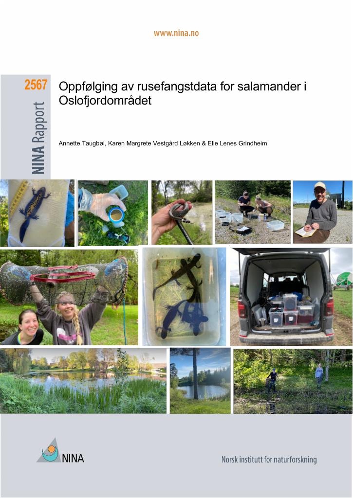 Forsiden av dokumentet Oppfølging av rusefangstdata for salamander i Oslofjordområdet