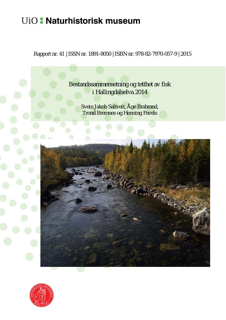 Forsiden av dokumentet Bestandssammensetning og tetthet av fisk i Hallingdalselva 2014