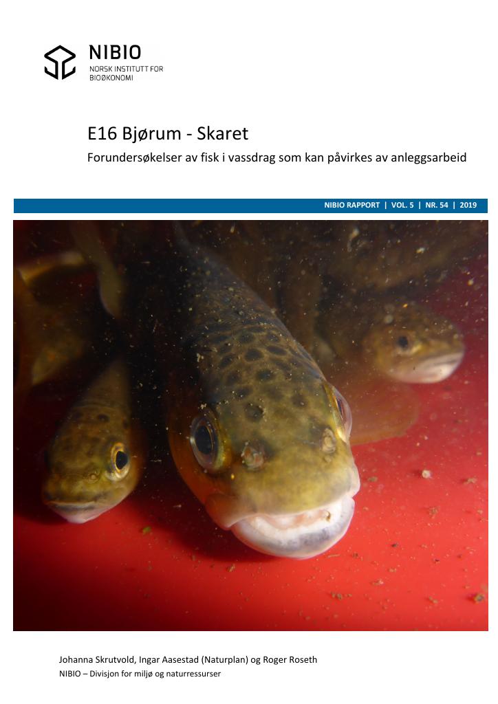 Forsiden av dokumentet E16 Bjørum – Skaret. Forundersøkelser av fisk i vassdrag som kan påvirkes av anleggsarbeid