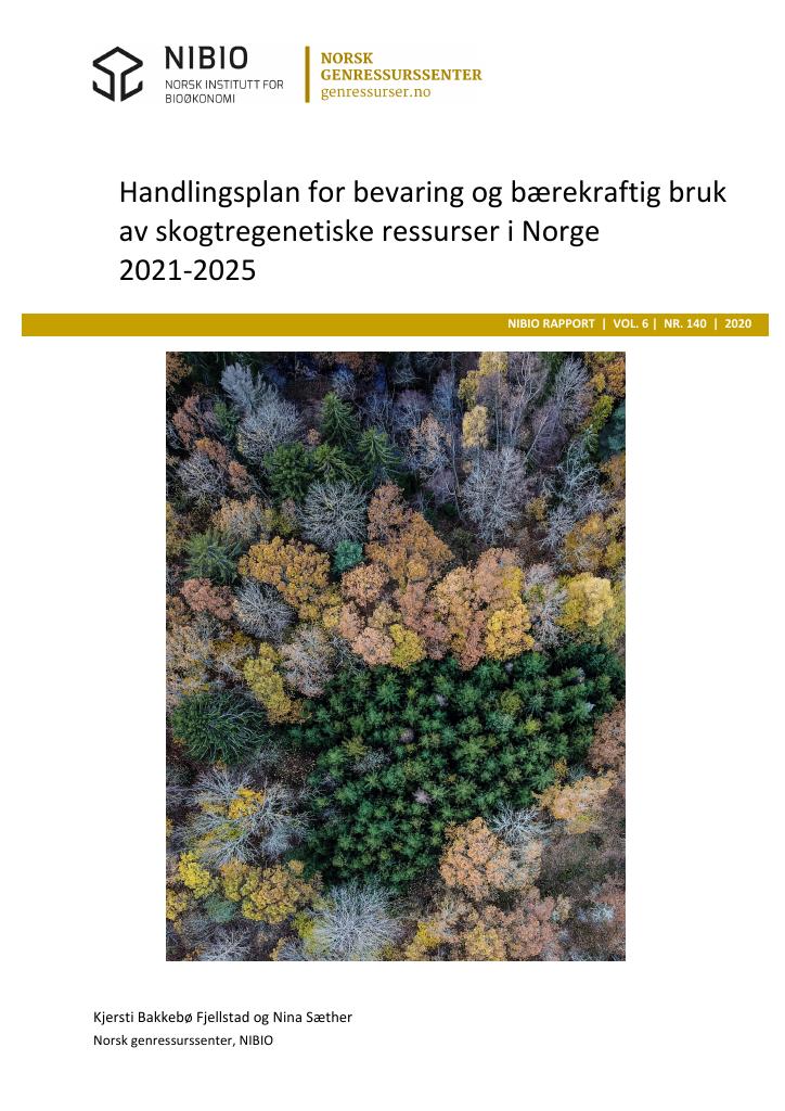 Forsiden av dokumentet Handlingsplan for bevaring og bærekraftig bruk av skogtregenetiske ressurser i Norge 2021-2025